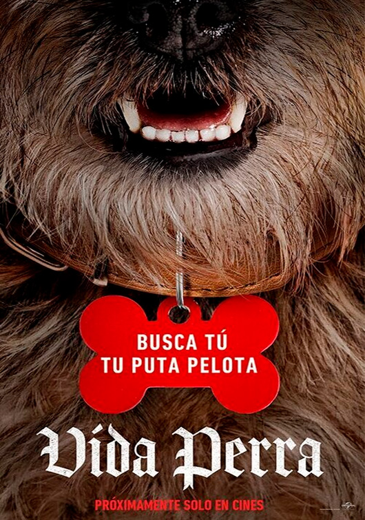 VIDA PERRA